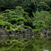 大阪都心の絶景スポット。天王寺公園の慶沢園へ。財閥住友家の本邸だった庭園。