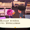 【791】嬉しいことがあった日に必ずやること