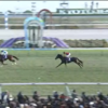 １２月１５日公開予想・結果　～朝日杯FS  推奨馬３頭が１，２，３着も・・・