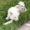 晴天ナリ