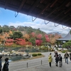 京都　紅葉の旅　天龍寺