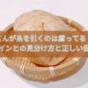 れんこんが糸を引くのはなぜ？新鮮なサインとの見分け方と正しい保存法