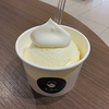 E.den Gelato(エデンジェラート)の レモンとバニラ/徳光珈琲のジェラート@札幌三越中央区南1条西3丁目()