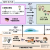 ドコモなど3社、福岡市内の離島でセルラードローンを活用した買い物代行サービス実証実験