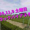 2024,11,9 土曜日 トラックバイアス予想 (東京競馬場　京都競馬場　福島競馬場)