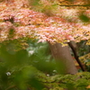 撮影会！尾山神社