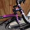 FELT　ＺＷ８５