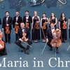 Christmas/Ave Maria, Wiener Kammerorchester