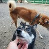 同意せず？