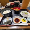 【和歌山グルメ】湯浅で生シラス丼としょうゆソフトを食べる