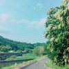 日常28　祖母と梅雨