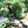 栃尾「杜々の森名水公園」全国名水百選「杜々の森湧水」へ久々に