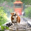 梅雨入りシーズンこそ筋トレ日和！！～男から漢へ～