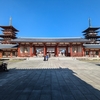 【奈良・薬師寺】塔二つ 歴史を想う 対比かな｜60歳からの御朱印めぐり〔095/541〕
