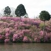 花の寺