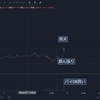 2024年　BTCの動きが激しい