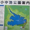 初冬の小中池公園を散策