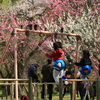 京都御苑「近衞邸跡」