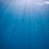 海を汚染するマイクロプラスチックスは環境問題なのか、それとも公害か