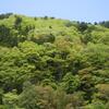 採って良いのは写真だけ、と言う事で