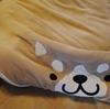 ちょっと小寒い？、だよ
