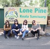 Let’s go to Lone Pine🐨
