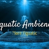 スーパードンキーコング「Aquatic Ambience」：もっとアクアティックリミックス