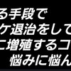 水草水槽のコケ対策!!コケに悩むあなた、こまめに水槽のお手入れしてますか？