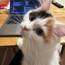 tuna’s blog
