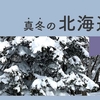 真冬の北海道(札幌中心)旅行（前編）