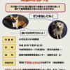 夏休み☆親子・犬ふれあい教室開催のお知らせ