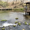 京極のふきだし湧水 〜北海道遺産No.8：京極町〜