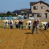 神原町花の会・花美花会(９３)   　コスモス種まき