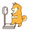 プチ糖質オフ・・出来るかしら？