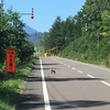  2017北海道サイクリング八日目