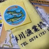 6/22    今シーズン初の白川へ🎣