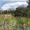 湯ノ花池（兵庫県淡路）