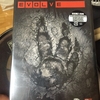 PC版 EVOLVE 480円w