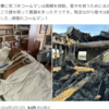 【続報あり】iマーク・コールマン、自宅火災で両親を救出するも危篤状態。