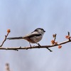 マグネシウムを気にせず毎日１万歩強。