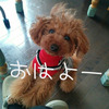 今日の1枚☆