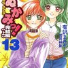 いぬかみっ！（１３）完結編〈上〉