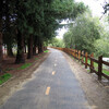 San Tomas Aquino/Saratoga Creek Trail