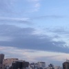 【コラム】秋の空で鶴の雲？