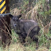 英語 カテゴリーの記事一覧 ほわぴの旅日記