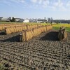 実りの秋の坊島（ぼうのしま）を歩く