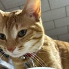 メモ　父の日は来週