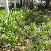 カタチから。