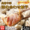 【楽天スーパーセール】長崎肉餃子 80～120個！　半額クーポンで2480円→1240円(送料無料)　訳ありですが激安です