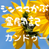 【発達障害】イオン幕張新都心のカンドゥー～念願のポケモンセンター店員になりました～※障害者手帳使用